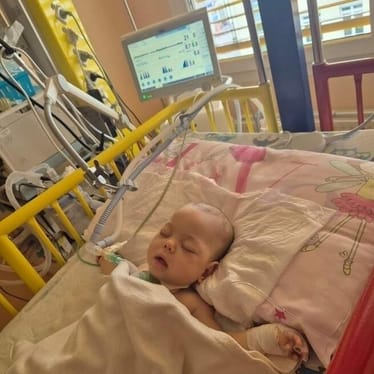 Main photo uploaded by the user