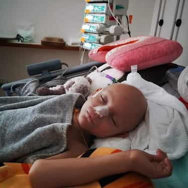 Zdjęcie główne wgrane przez użytkownika