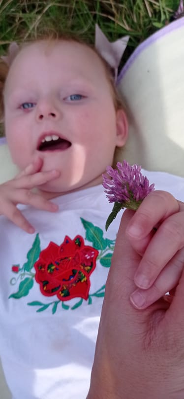 Main photo uploaded by the user