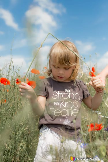 Zdjęcie główne wgrane przez użytkownika