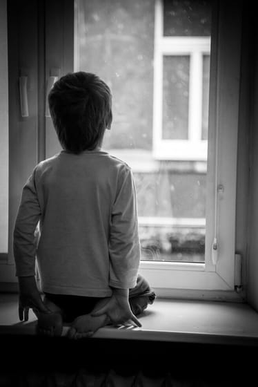 Main photo uploaded by the user