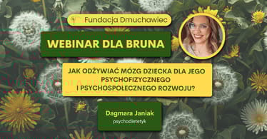 Main photo uploaded by the user