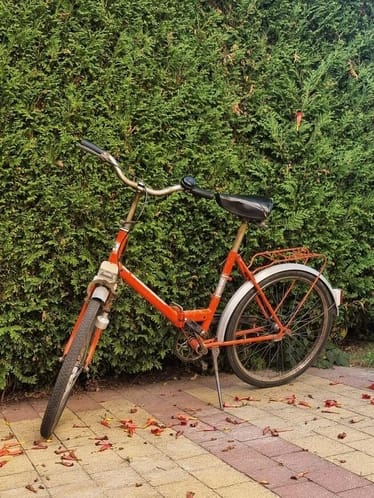 Main photo uploaded by the user