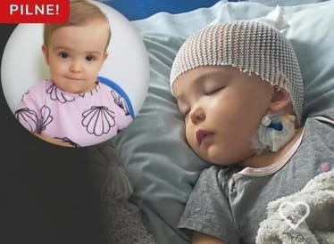 Zdjęcie główne wgrane przez użytkownika