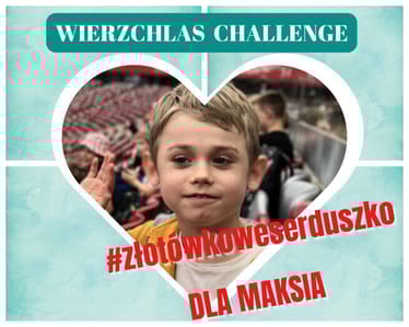 Zdjęcie główne wgrane przez użytkownika