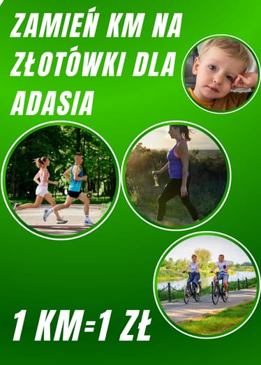 Main photo uploaded by the user