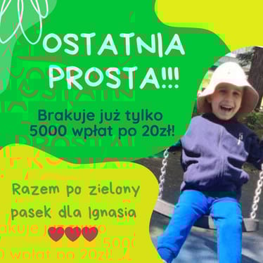 Main photo uploaded by the user