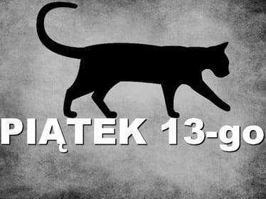 Zdjęcie główne wgrane przez użytkownika