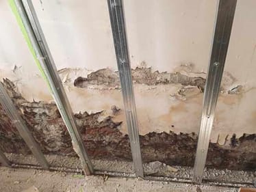 Zdjęcie główne wgrane przez użytkownika