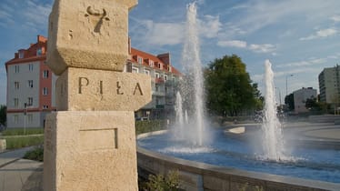 Zdjęcie główne wgrane przez użytkownika