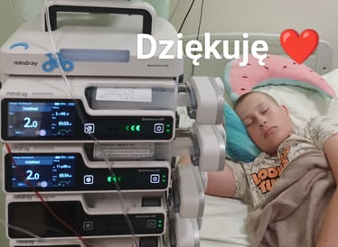 Main photo uploaded by the user