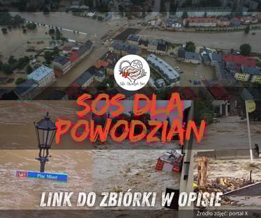 Zdjęcie główne wgrane przez użytkownika