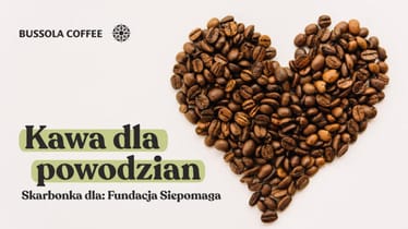 Main photo uploaded by the user