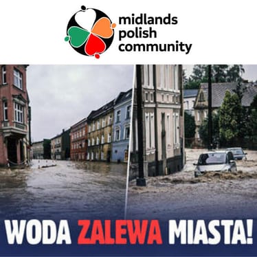 Zdjęcie główne wgrane przez użytkownika