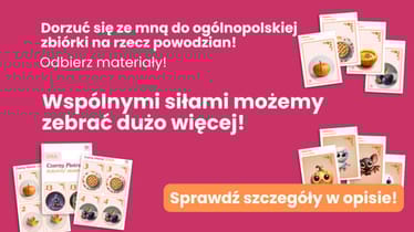 Main photo uploaded by the user