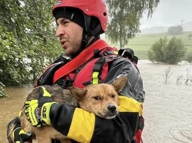 Zdjęcie główne wgrane przez użytkownika