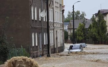 Zdjęcie główne wgrane przez użytkownika