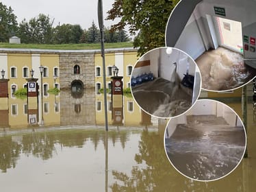 Zdjęcie główne wgrane przez użytkownika