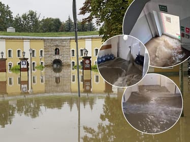 Zdjęcie główne wgrane przez użytkownika