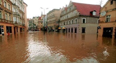Zdjęcie główne wgrane przez użytkownika