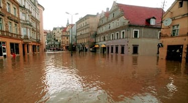 Zdjęcie główne wgrane przez użytkownika