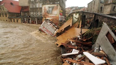Zdjęcie główne wgrane przez użytkownika