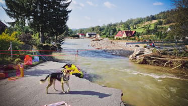 Zdjęcie główne wgrane przez użytkownika