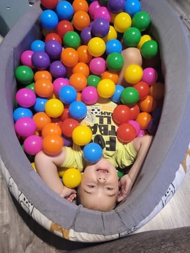 Zdjęcie główne wgrane przez użytkownika