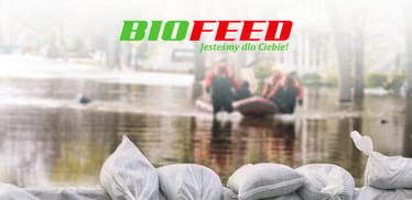 Zdjęcie główne wgrane przez użytkownika