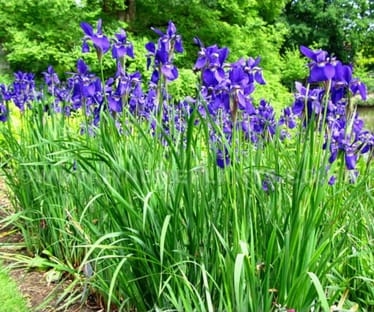 Main photo uploaded by the user