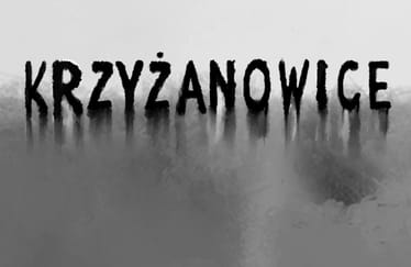 Zdjęcie główne wgrane przez użytkownika