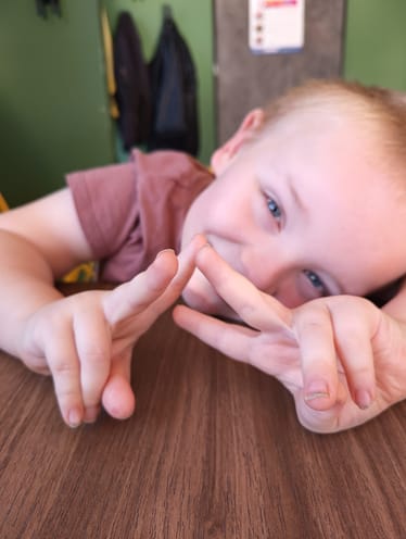 Zdjęcie główne wgrane przez użytkownika