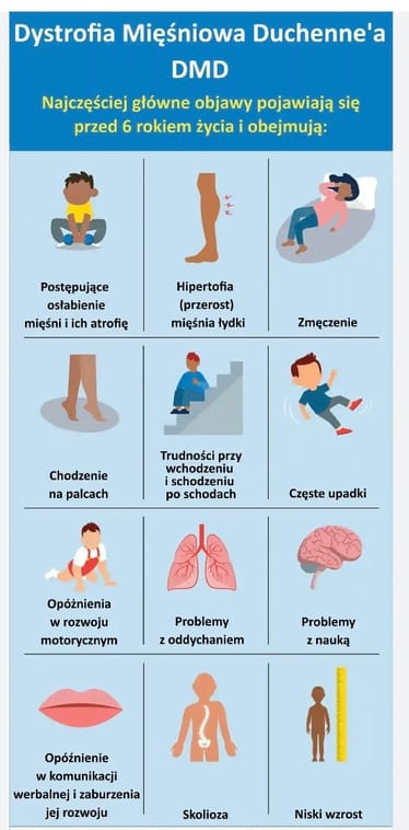 Main photo uploaded by the user