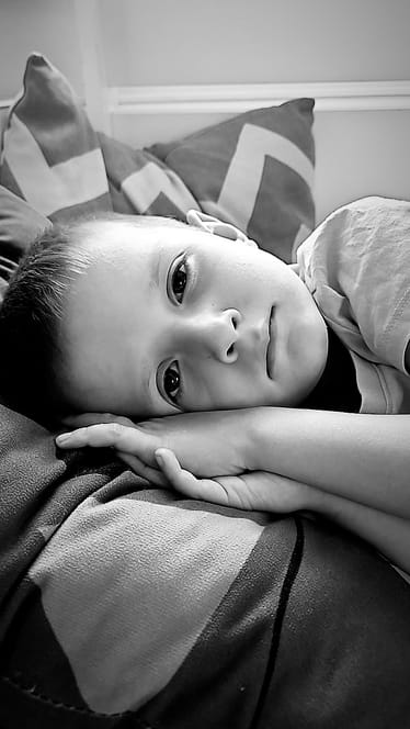 Zdjęcie główne wgrane przez użytkownika