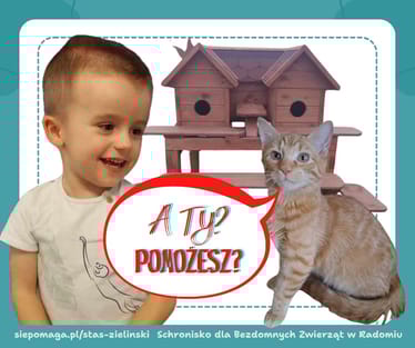 Zdjęcie główne wgrane przez użytkownika