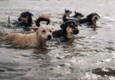 Zdjęcie główne wgrane przez użytkownika