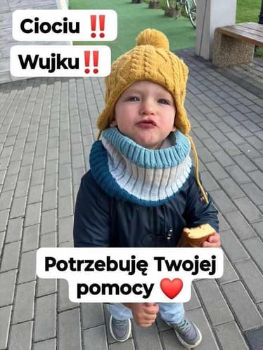Zdjęcie główne wgrane przez użytkownika