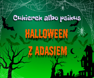 Main photo uploaded by the user