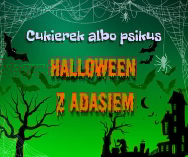 Main photo uploaded by the user