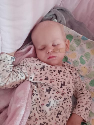 Zdjęcie główne wgrane przez użytkownika