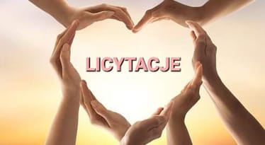 Main photo uploaded by the user