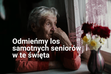 Zdjęcie główne wgrane przez użytkownika