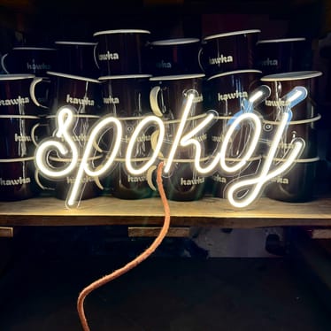 Zdjęcie główne wgrane przez użytkownika