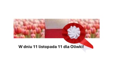 Zdjęcie główne wgrane przez użytkownika