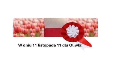 Zdjęcie główne wgrane przez użytkownika