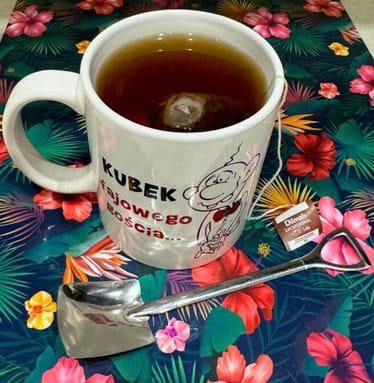 Main photo uploaded by the user