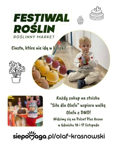 Zdjęcie główne wgrane przez użytkownika