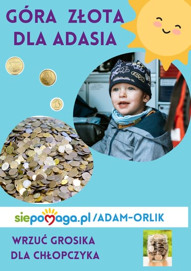 Main photo uploaded by the user