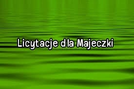 Main photo uploaded by the user