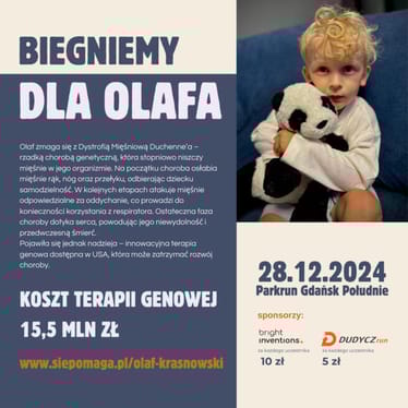 Zdjęcie główne wgrane przez użytkownika